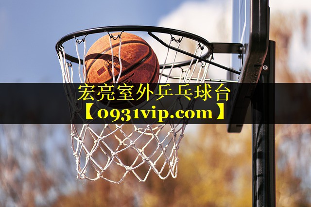 宏亮室外乒乓球台