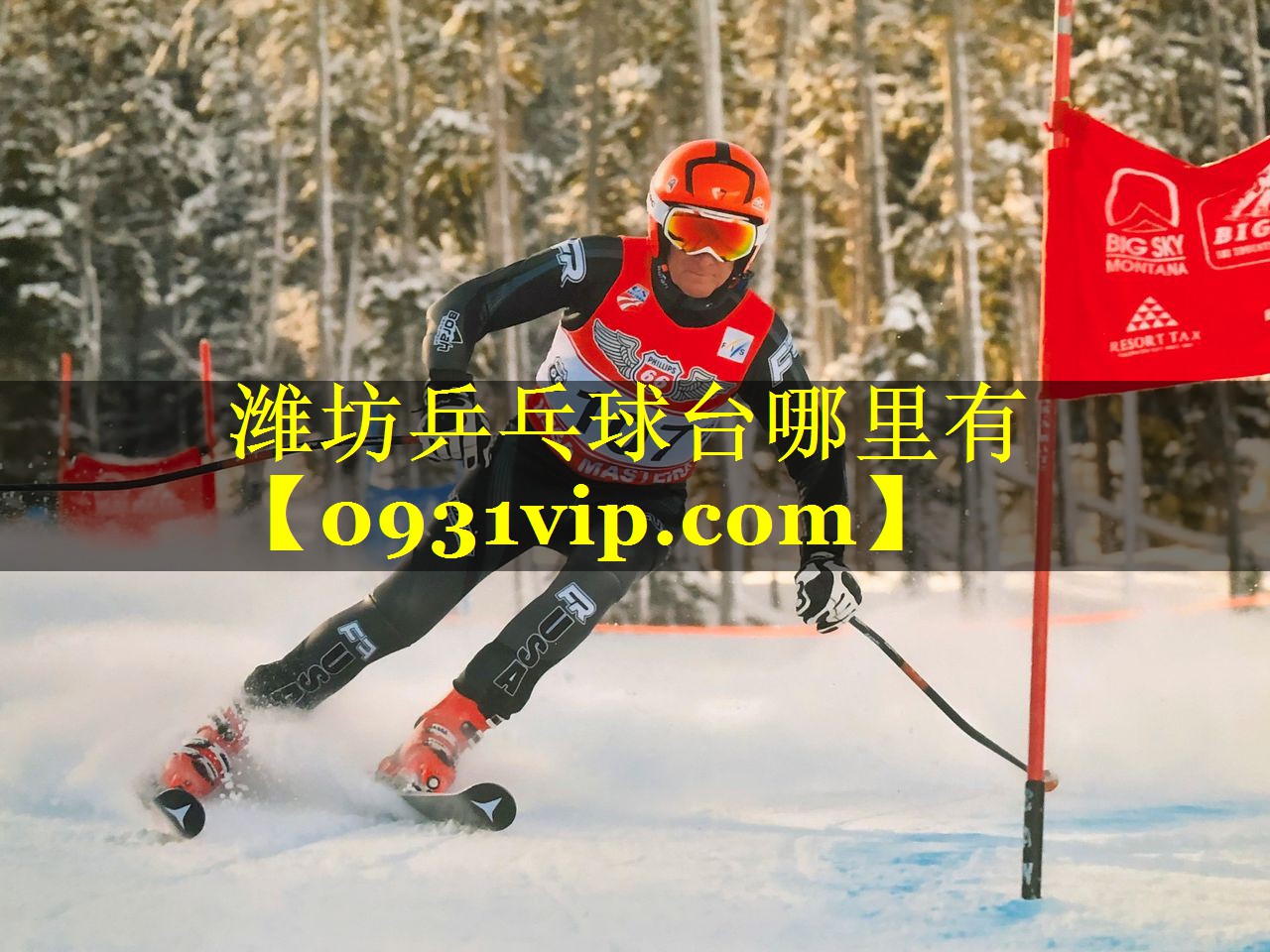 潍坊乒乓球台哪里有