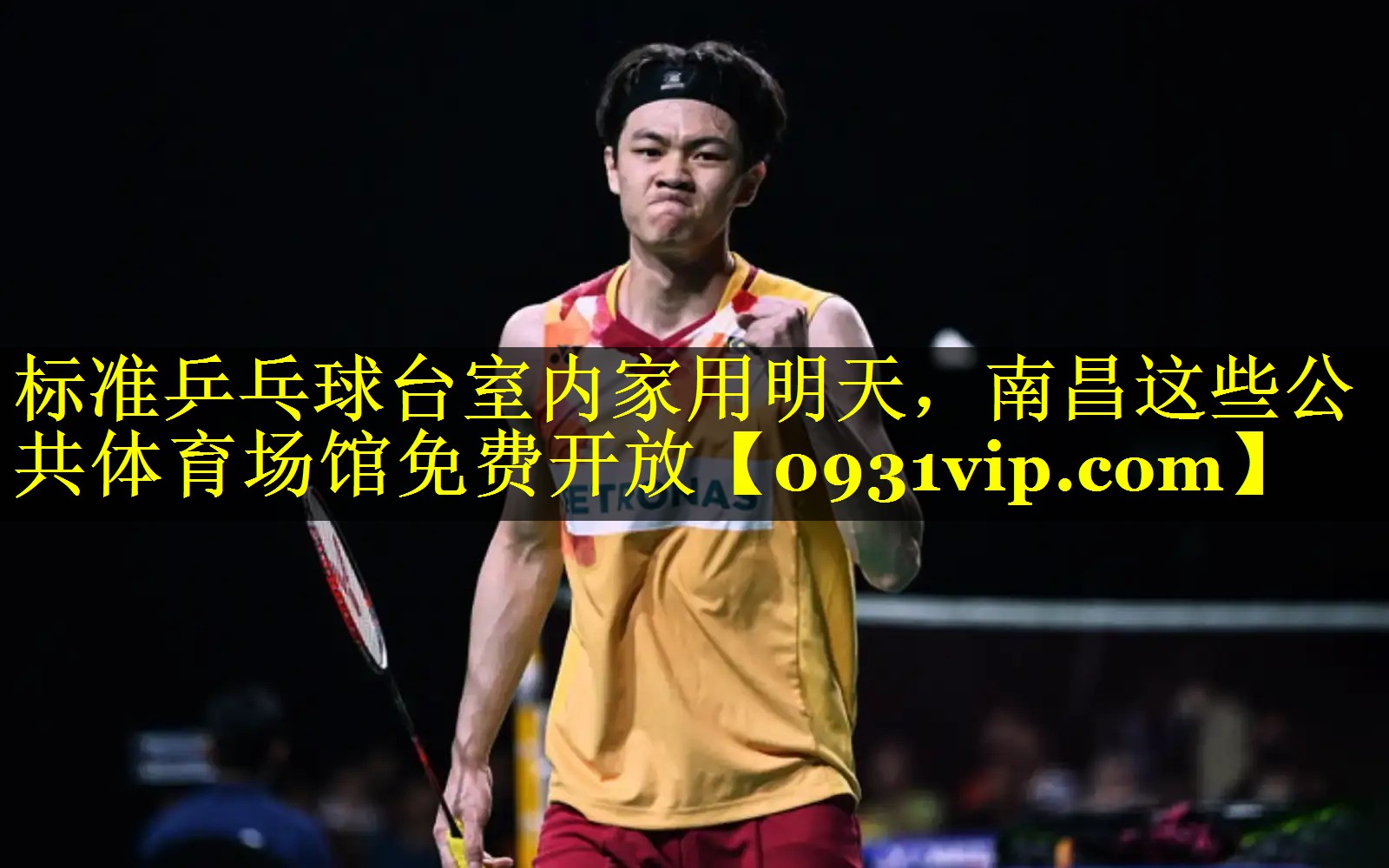 标准乒乓球台室内家用明天，南昌这些公共体育场馆免费开放