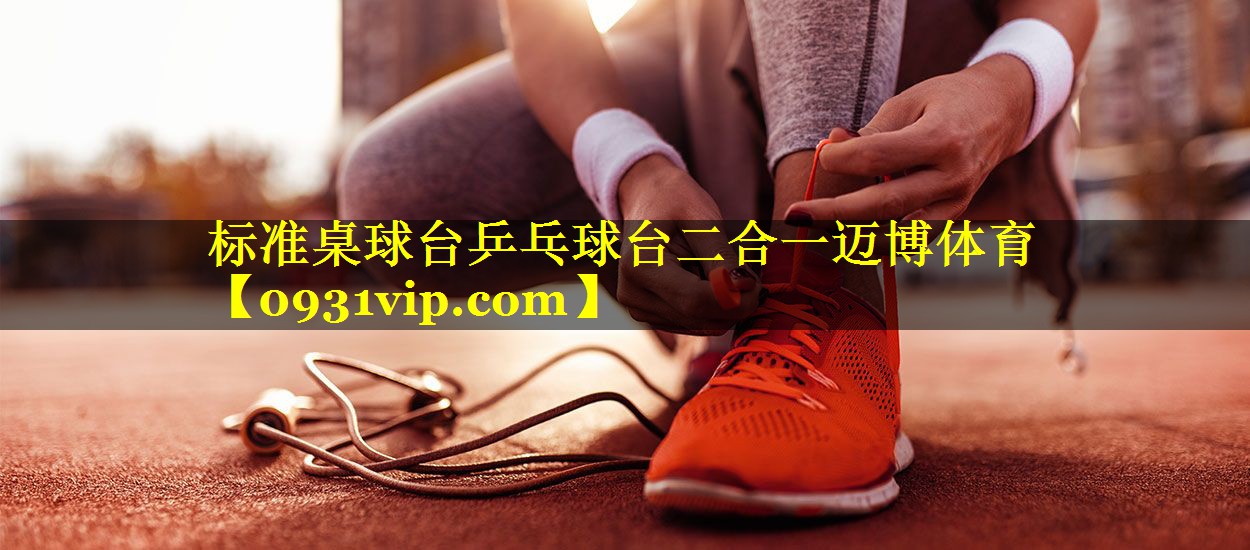 标准桌球台乒乓球台二合一迈博体育