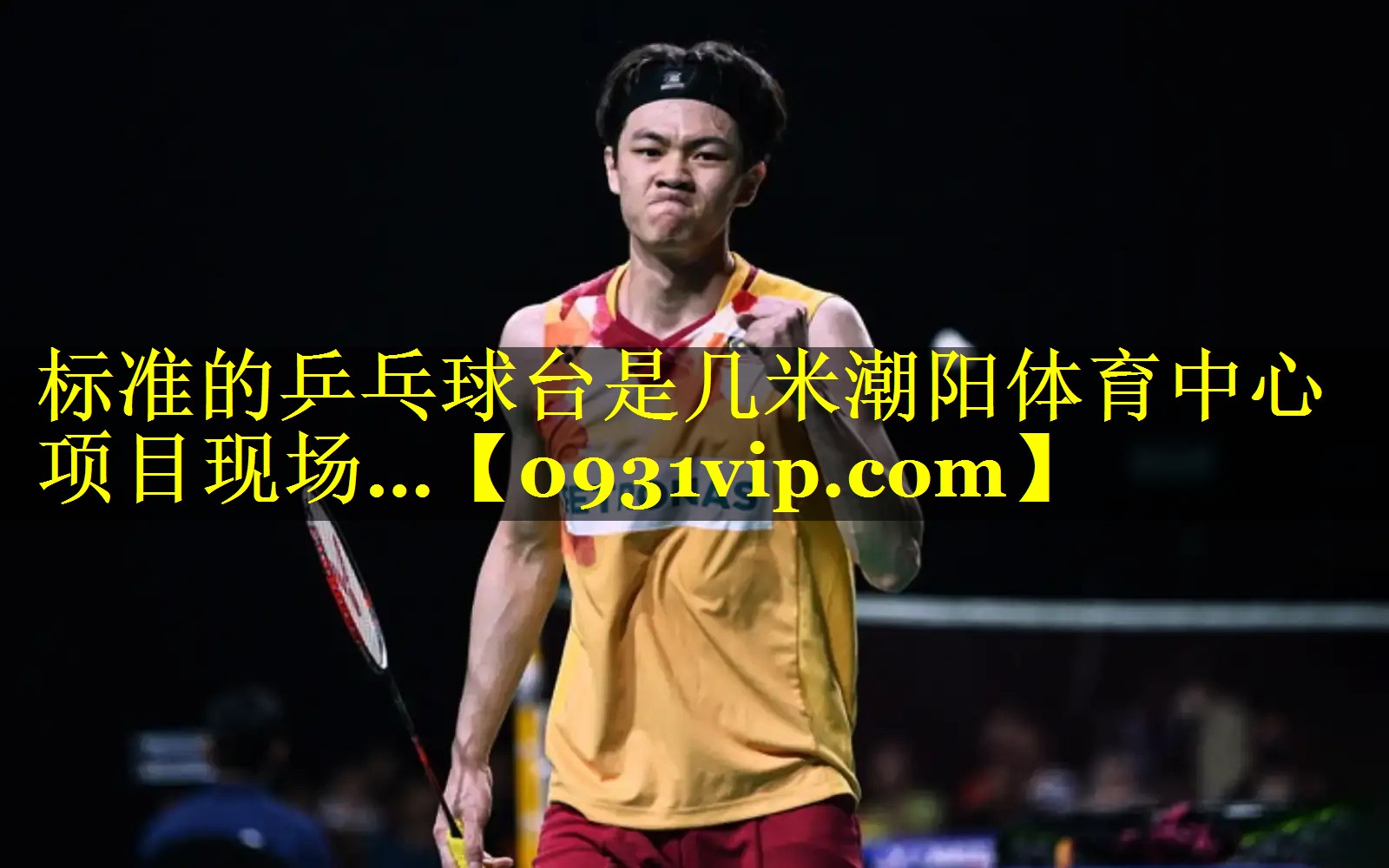 标准的乒乓球台是几米潮阳体育中心项目现场…