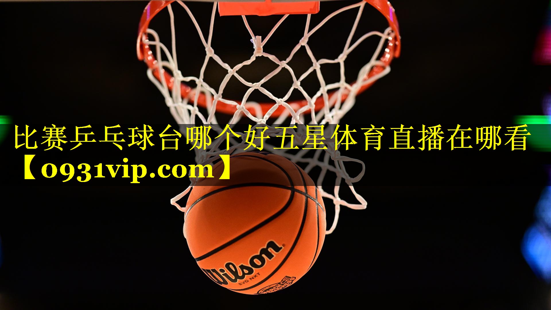 比赛乒乓球台哪个好五星体育直播在哪看