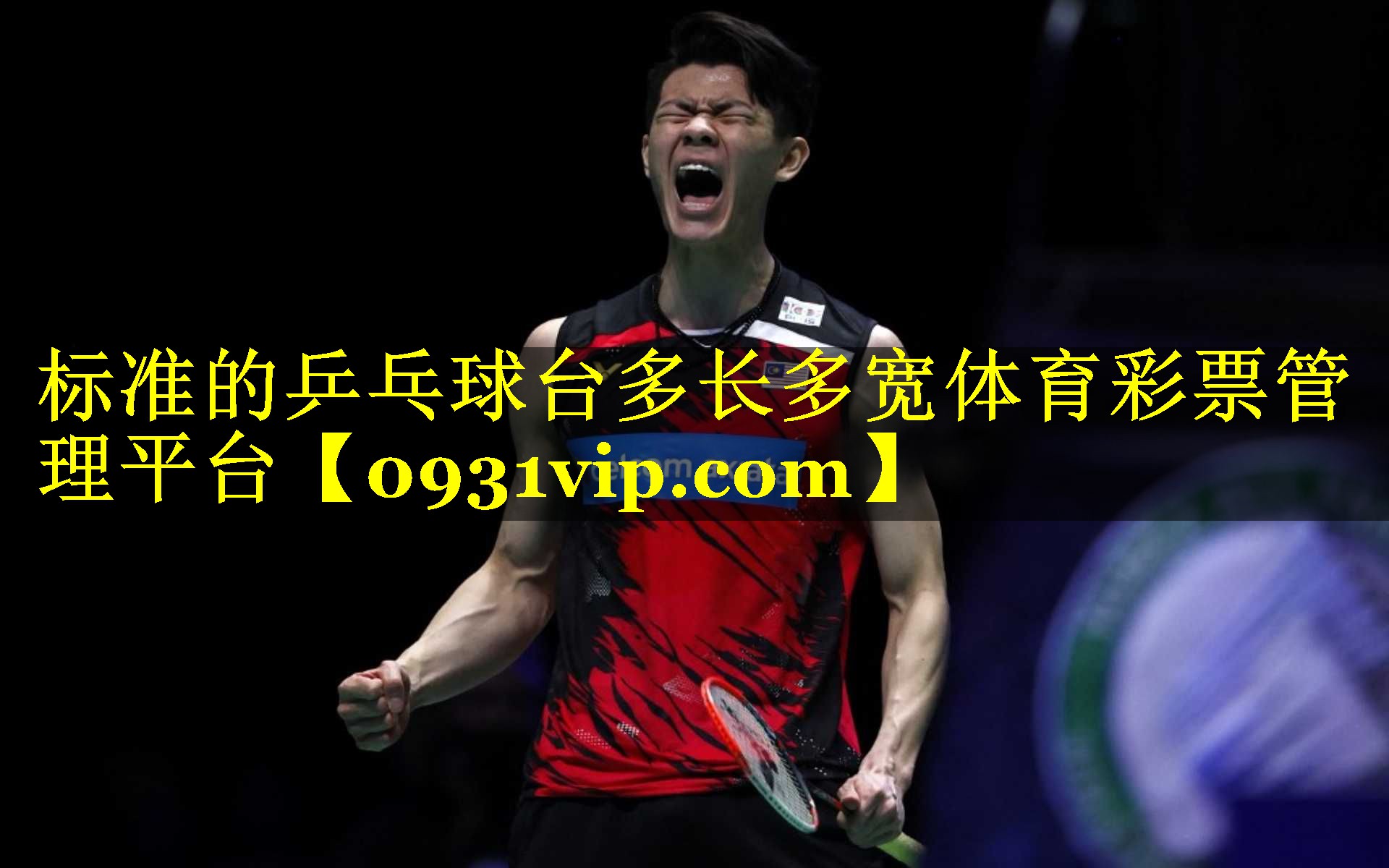 标准的乒乓球台多长多宽体育彩票管理平台