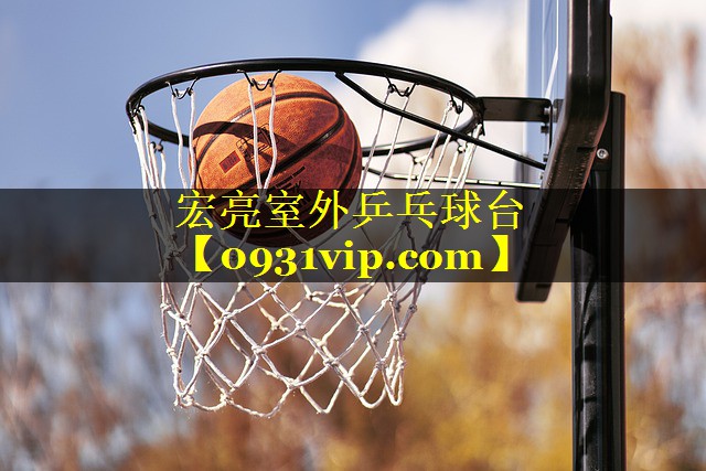 宏亮室外乒乓球台
